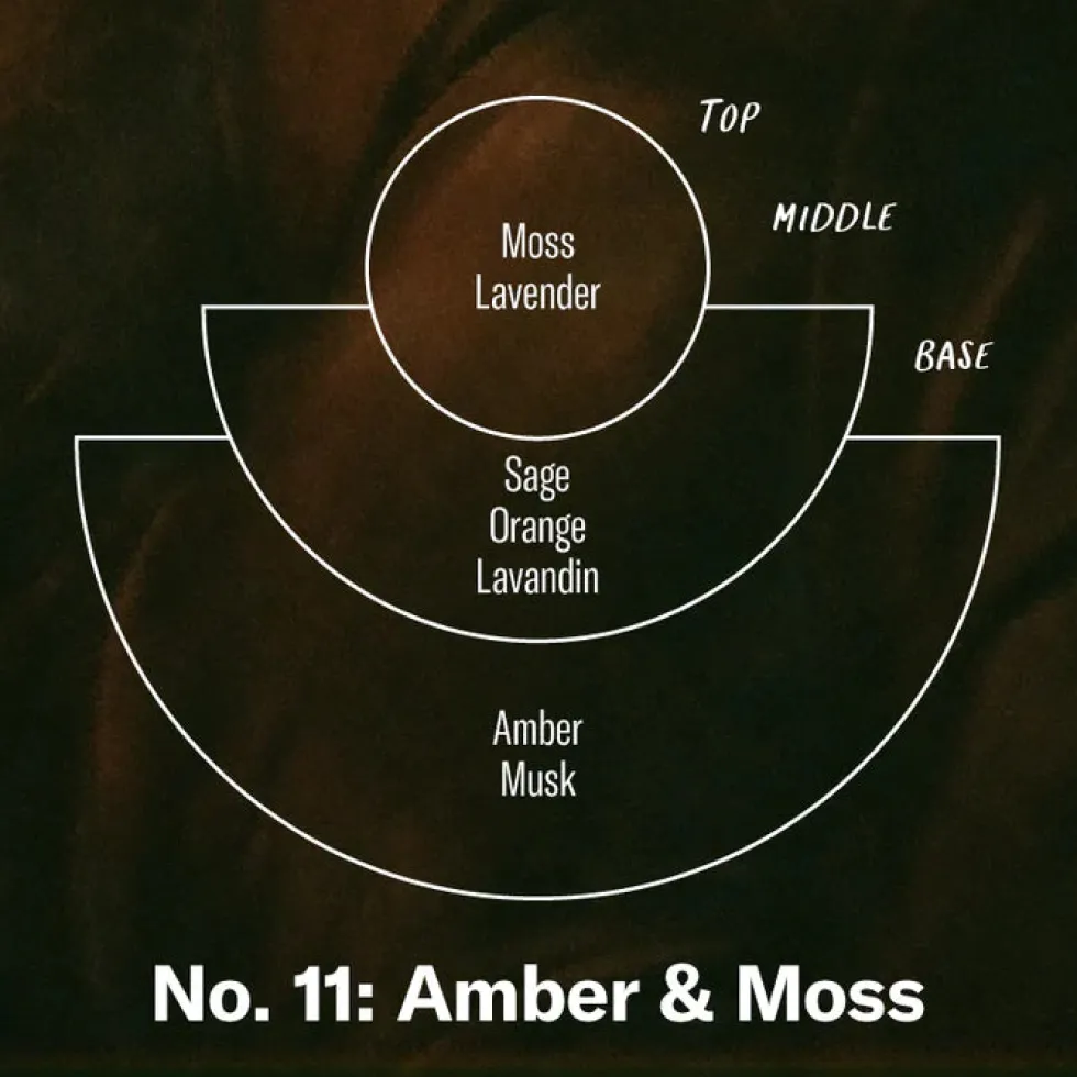 Best No. 11 Amber & Moss - Candle Home & Living