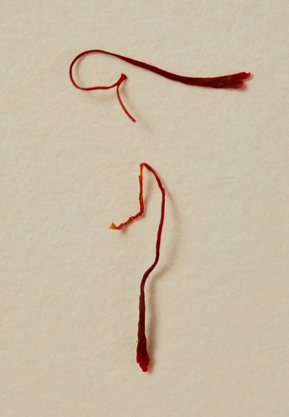 Discount Perfume Oil 15ml - Ode Perfume|Beauty & Wellness