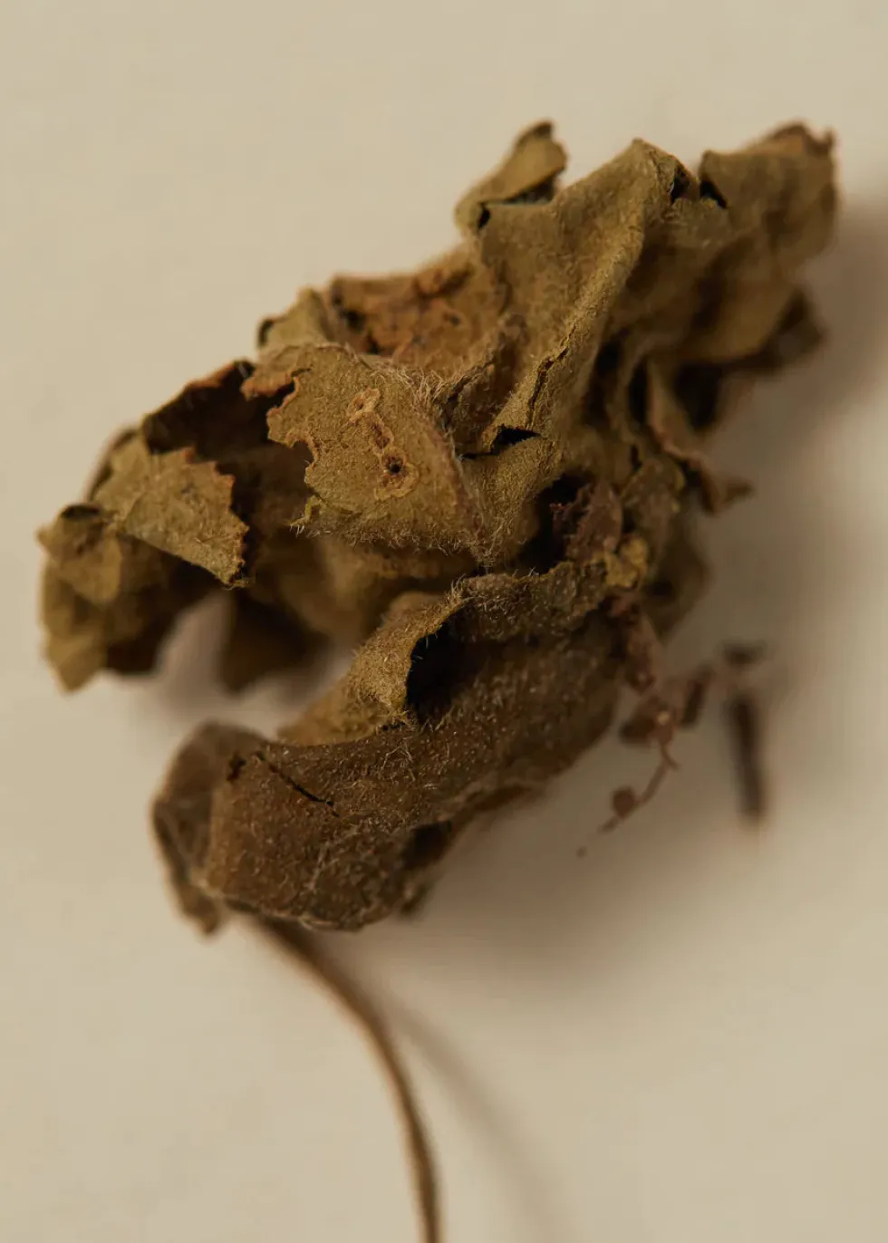 Clearance Perfume Oil 30ml - Smoking Rose Perfume|Beauty & Wellness